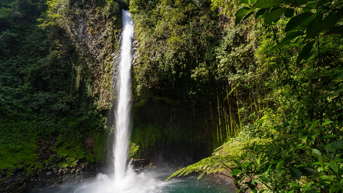 A tall, narrow waterfall crashes into a pool below.