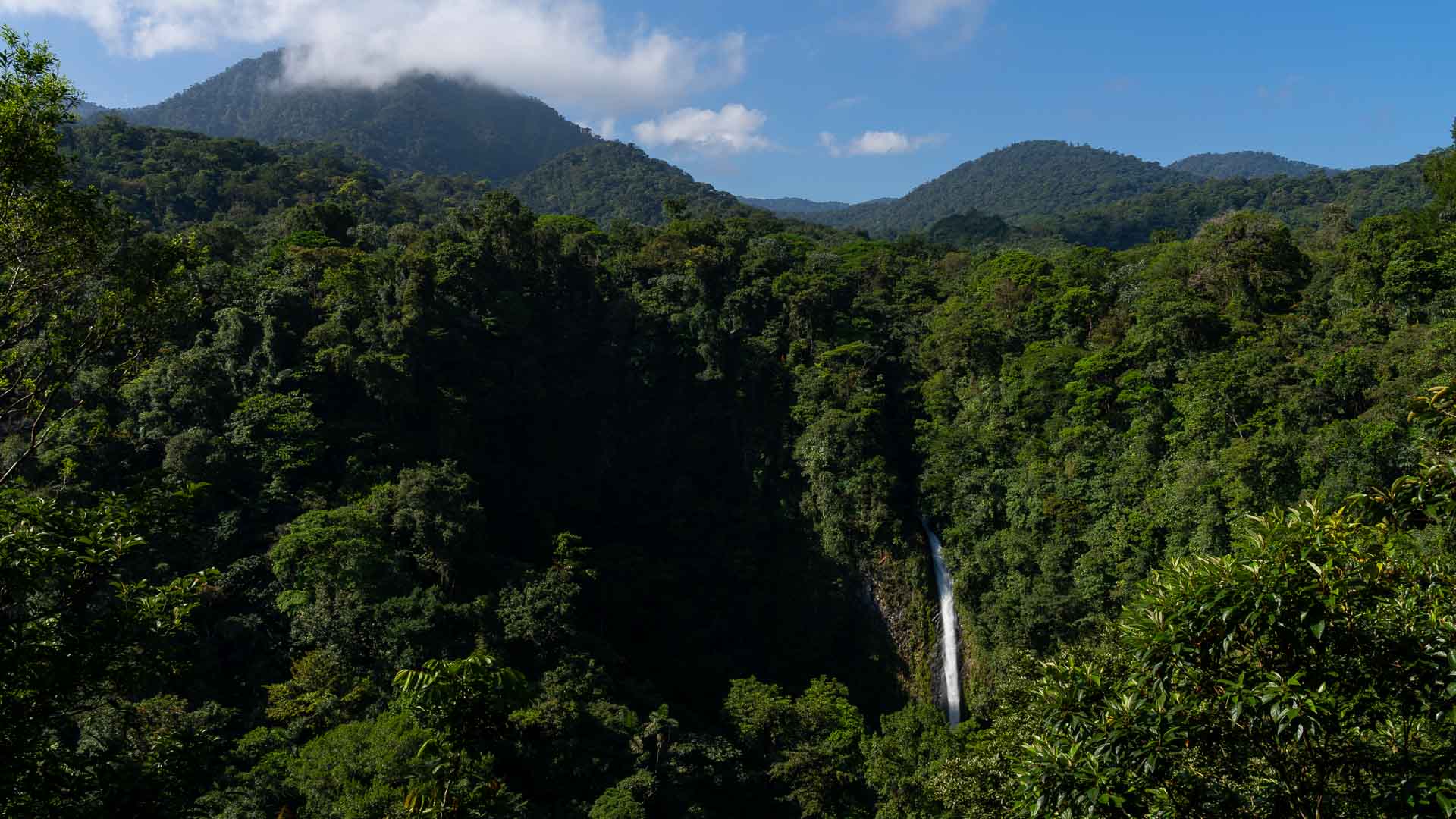 A waterfall surrounded by forest.
